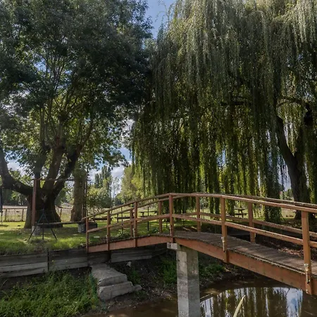 Les Roses De Jonzac * Mortiers