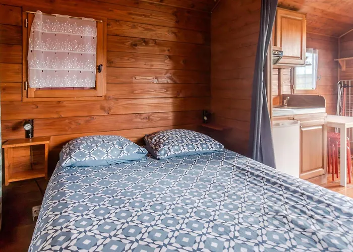 Les Roses De Jonzac *