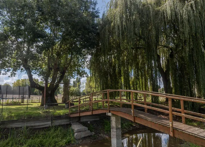 Les Roses De Jonzac * Mortiers